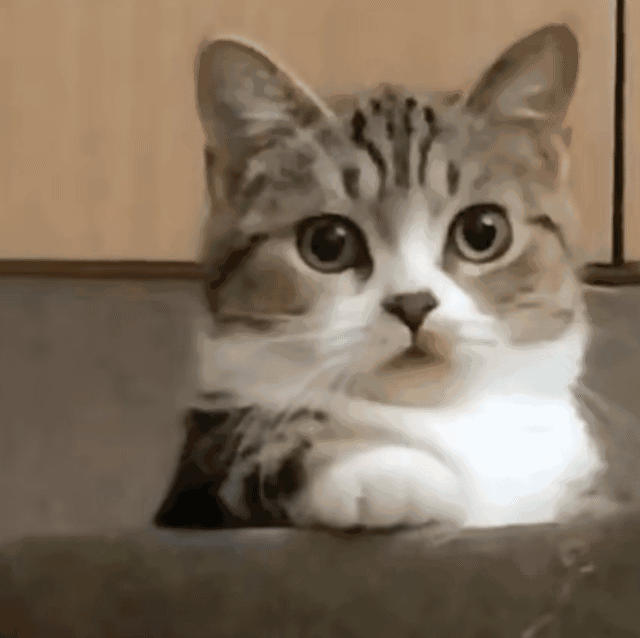 缺斤短两打一动物:最快解答落实 缺斤短两打一动物:最快解答落实