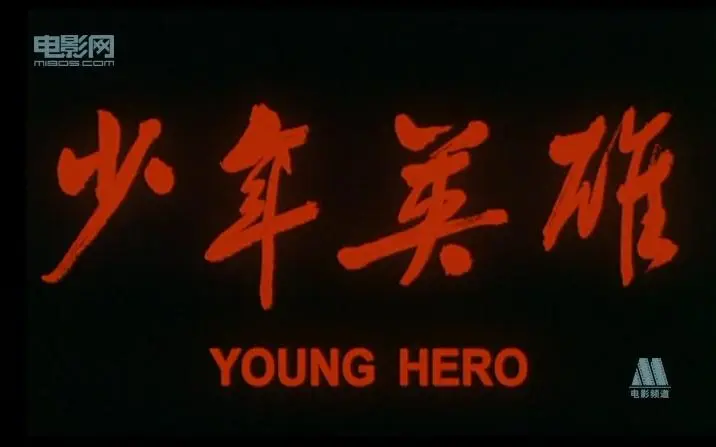 少年英豪,揭秘自古英雄出少年背后的生肖奥秘 少年英豪,揭秘自古英雄出少年背后的生肖奥秘