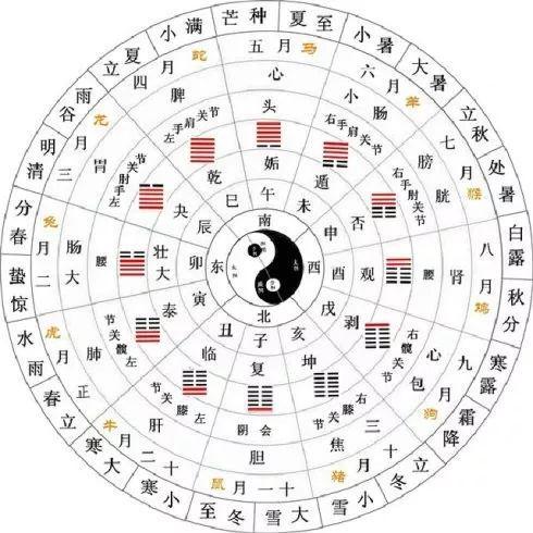 星火燎原,生肖背后的文化寓意与深度解析 星火燎原,生肖背后的文化寓意与深度解析