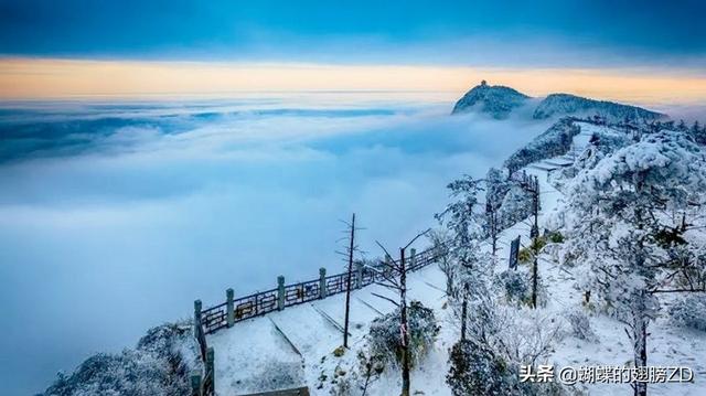 细毛织寒衣,寻七之谜—揭秘生肖之趣 细毛织寒衣,寻七之谜—揭秘生肖之趣