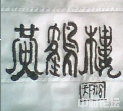 笔走龙蛇打一生肖、定量作答落实解释