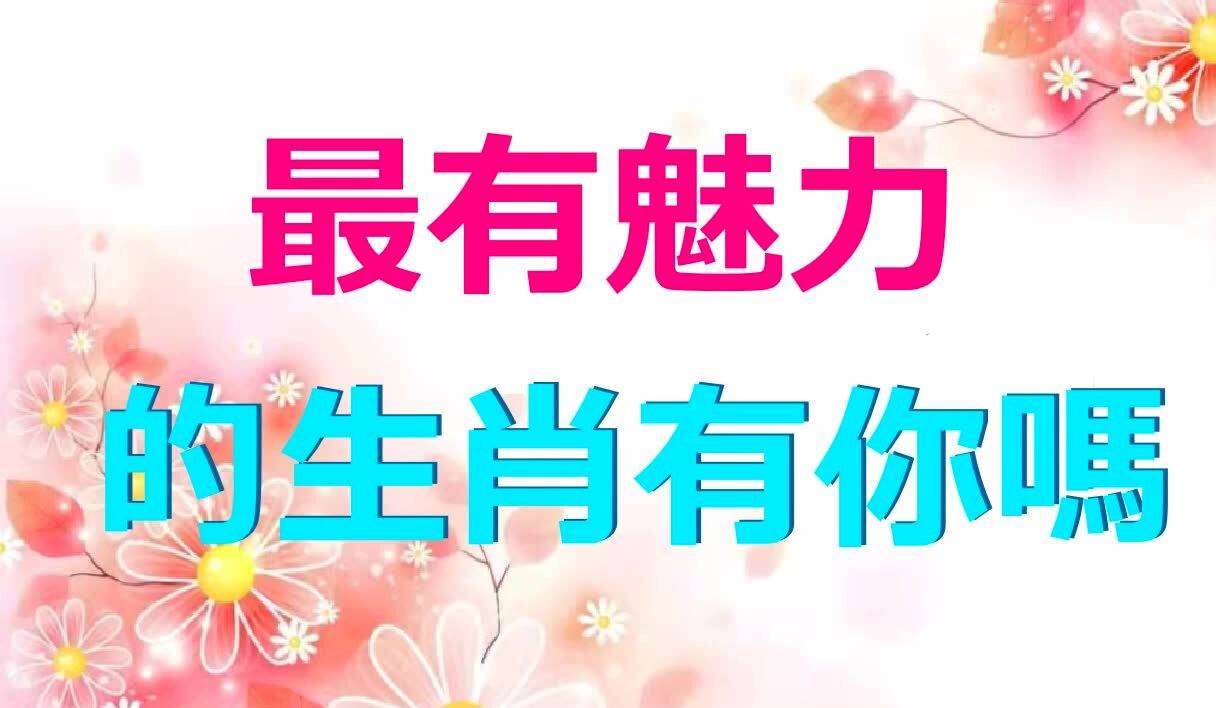 风靡一世的生肖魅力与积极解释落实的实践智慧