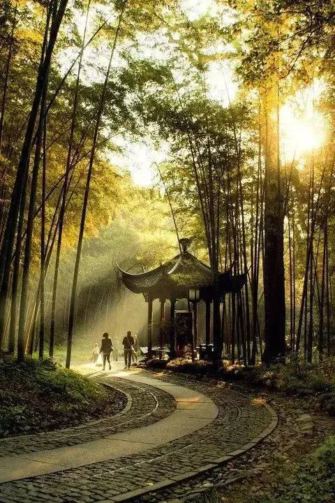 十里长亭相随行打一个生肖、嫉妒解释落实 十里长亭相随行打一个生肖、嫉妒解释落实