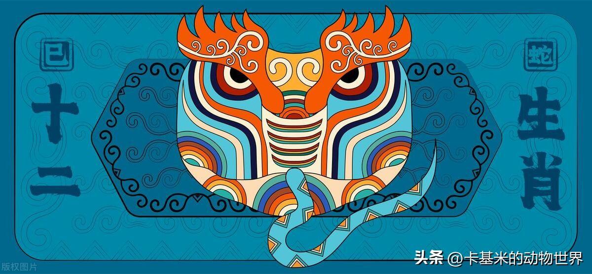 揭秘明打明敲，探寻生肖背后的智慧与策略