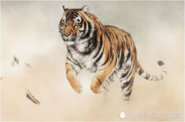 遇事生风墙头草是什么生肖:答案解释落实 遇事生风墙头草是什么生肖:答案解释落实