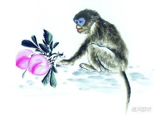 雨过天晴打一生肖:答案解释落实