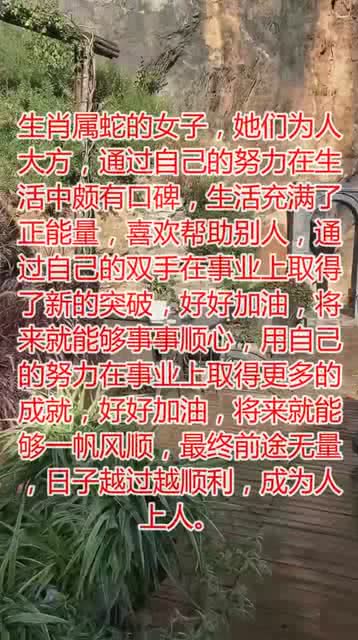 落落大方与精准生肖,一场文化与智慧的碰撞 落落大方与精准生肖,一场文化与智慧的碰撞