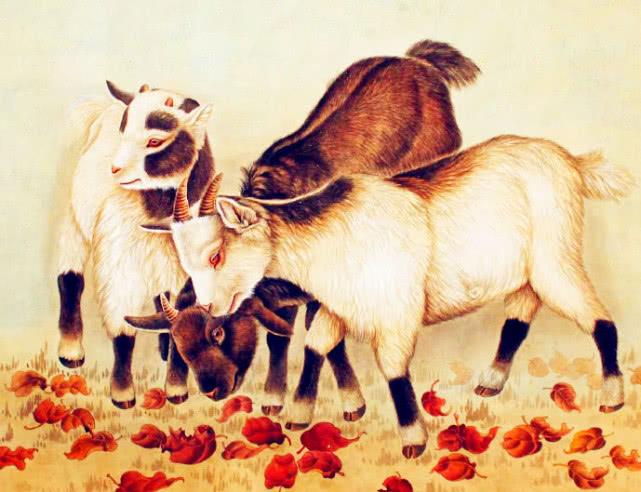 忠厚温驯,解读生肖中的羊 忠厚温驯,解读生肖中的羊