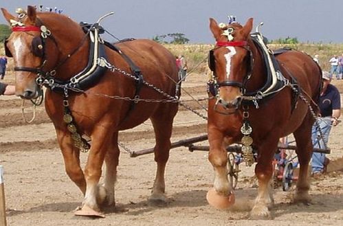打下马威什么意思、惠泽作答落实解释 打下马威什么意思、惠泽作答落实解释