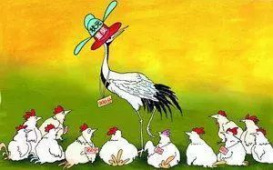 鹤立鸡群令人钦打一精准生肖:答案解释落实