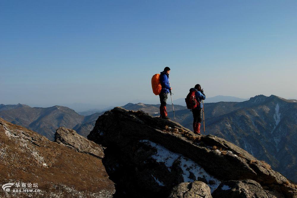 极目四望,探索最新解释下动物行为的奥秘 极目四望,探索最新解释下动物行为的奥秘