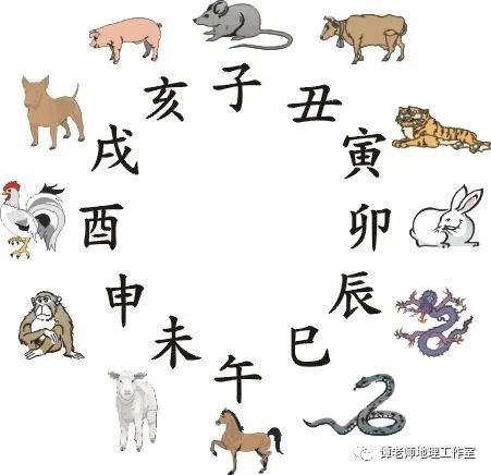 好汉做事好汉当,生肖之谜与无垠解释的落实 好汉做事好汉当,生肖之谜与无垠解释的落实