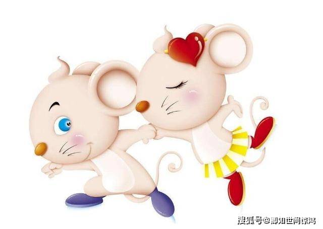 同心协力打一生肖、学习解释落实