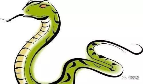 滔滔不绝话生肖，揭秘属蛇人的独特魅力与言辞风采