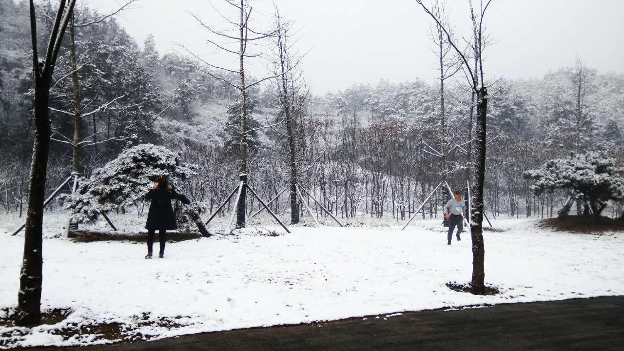 跋山涉水觅真知—探寻跋山涉水背后的生肖奥秘