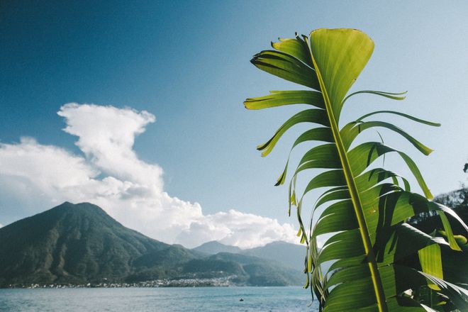 雨过天晴打一生肖:答案解释落实 雨过天晴打一生肖:答案解释落实