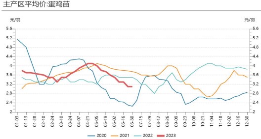 最新发布，淘汰鸡价格走势分析及作答落实解释