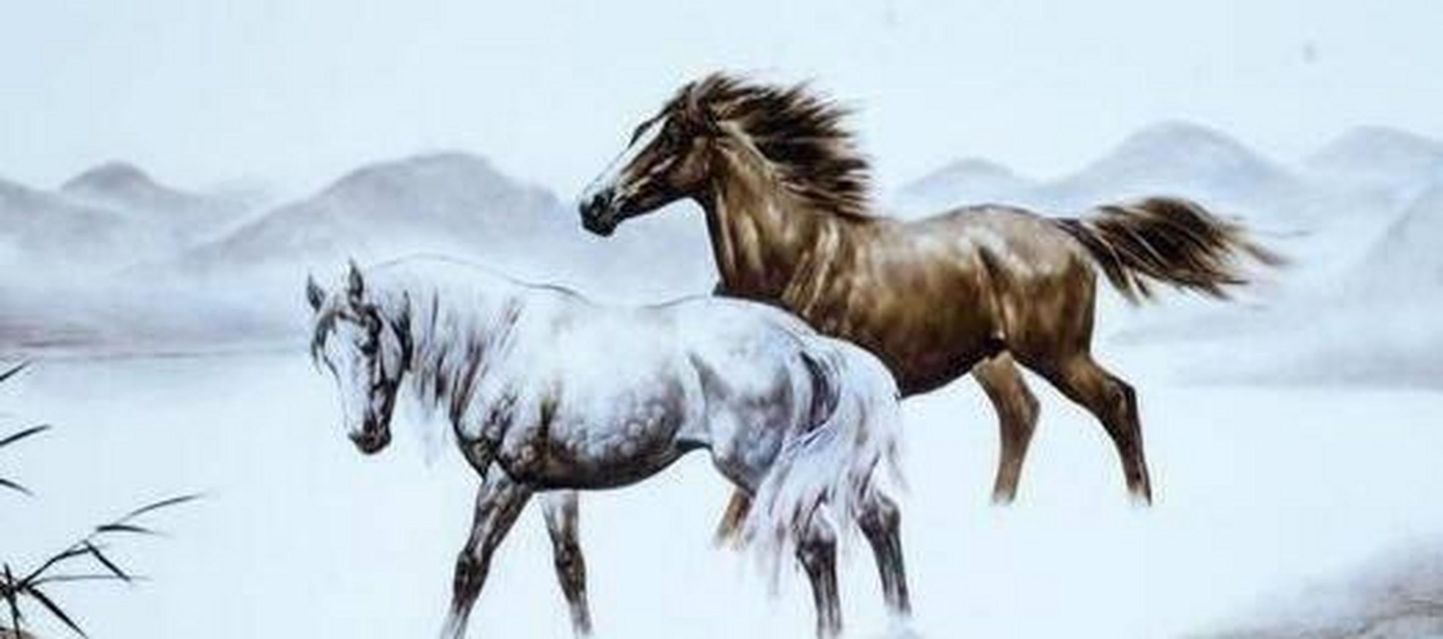 铜筋铁骨与生肖，揭秘属相中的坚韧之谜