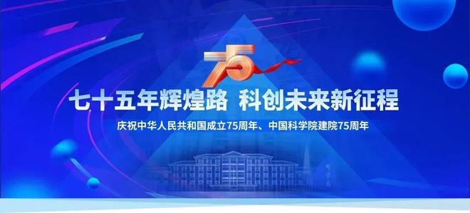 创新之路，生肖肖与实的融合与超越