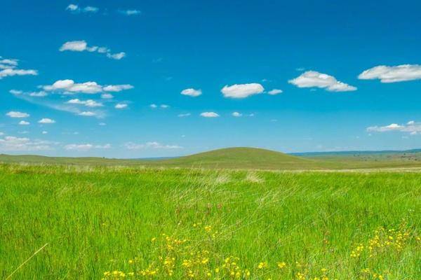 阳光普照,生艳阳高照暖大地,解一肖之谜 阳光普照,生艳阳高照暖大地,解一肖之谜