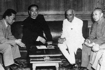 和平共处，生肖视角下的和谐共生哲学