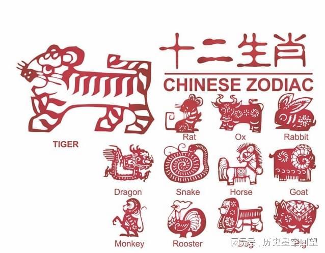 八面威风,权威揭晓的生肖谜题 八面威风,权威揭晓的生肖谜题