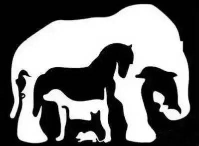 嫉恶好善打一准确的动物、探讨解释落实 嫉恶好善打一准确的动物、探讨解释落实