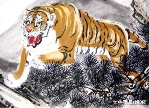 独揽大权是什么生肖、真相解释落实