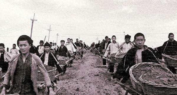 三尺童子打一个生肖:谜底即将揭晓落实