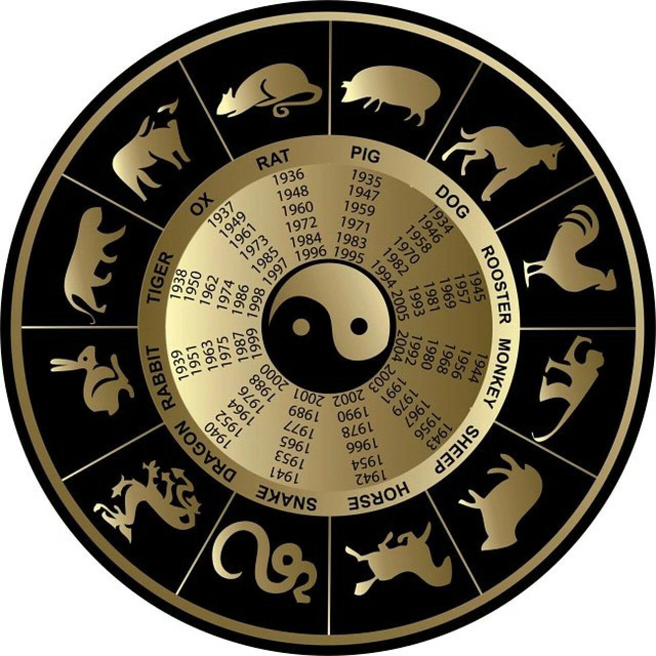 摆龙门阵,揭秘打一准确生肖的奥秘与定量作答的落实解释