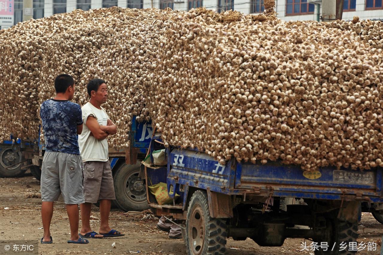 回天无力,生肖之谜的深度解析与现实生活中的应用 回天无力,生肖之谜的深度解析与现实生活中的应用