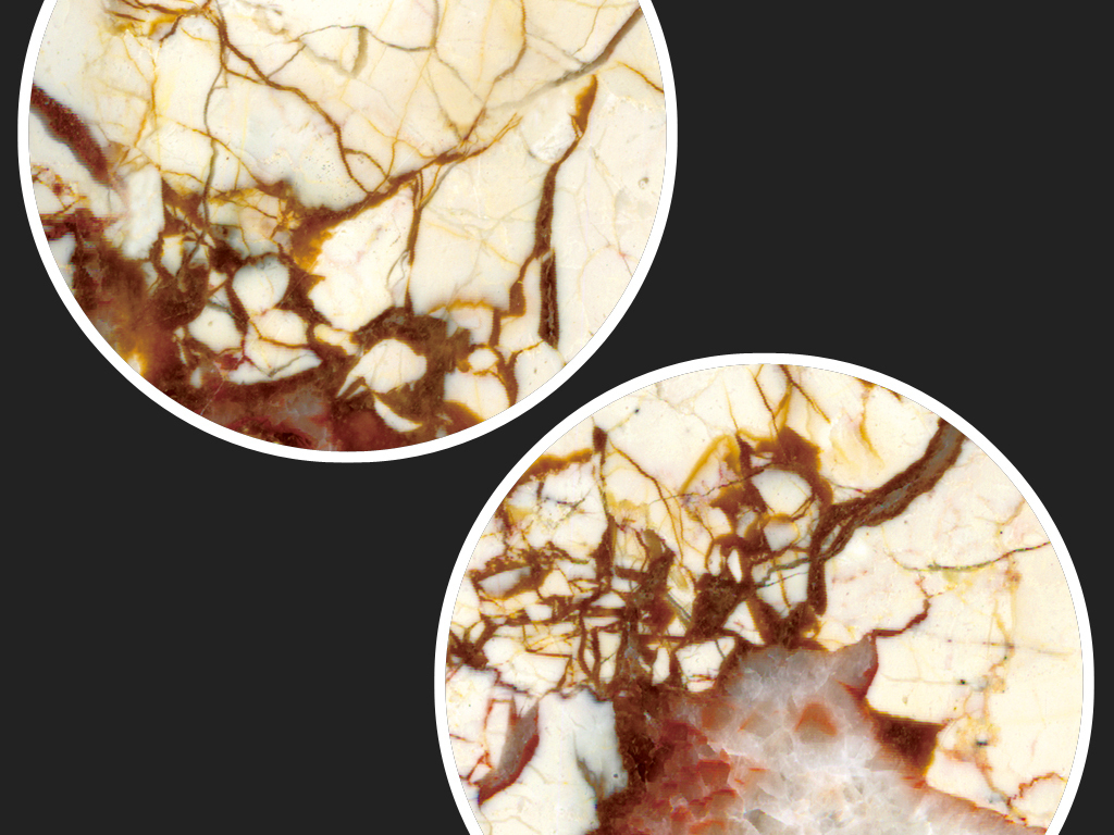 根深蒂固，生肖中的坚韧与执着