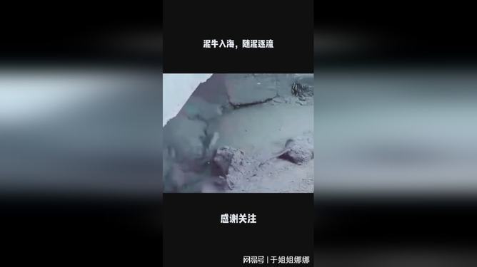 泥牛入海，探寻生肖背后的文化寓意与全面解释落实