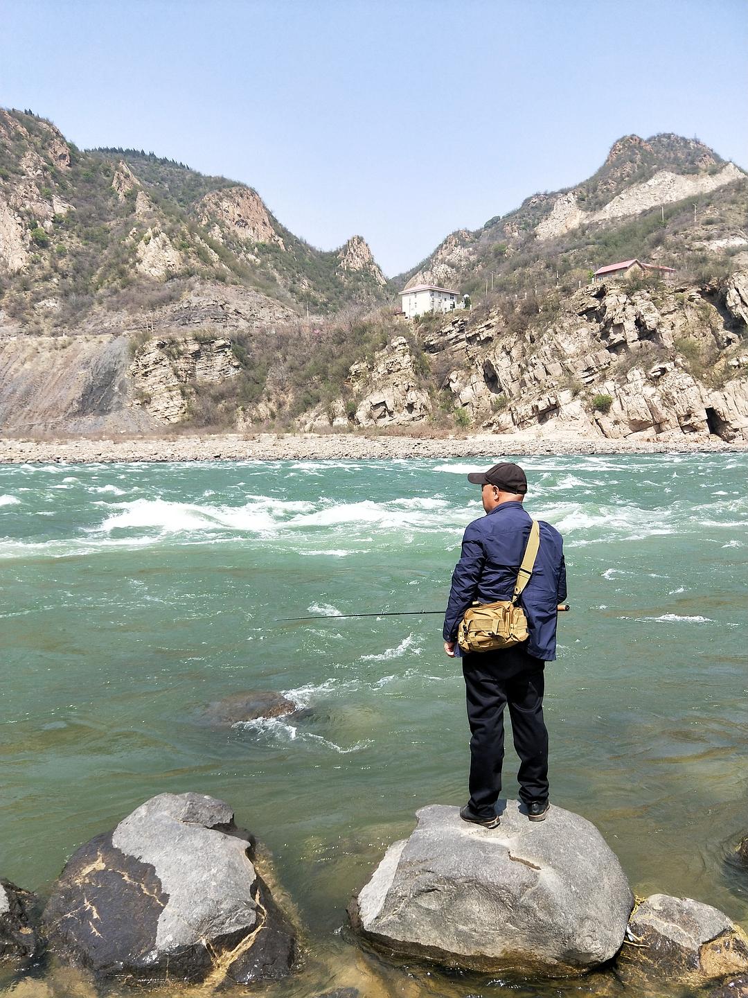 碧波荡漾打一最佳动物、专家作答落实解释