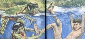 解密称孤道寡背后的动物谜题，如何有效落实解释的智慧