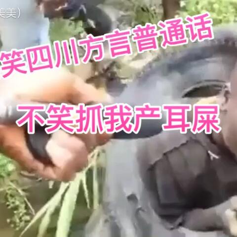 道道地地话生肖,探寻十二生肖的独特魅力与文化内涵 道道地地话生肖,探寻十二生肖的独特魅力与文化内涵
