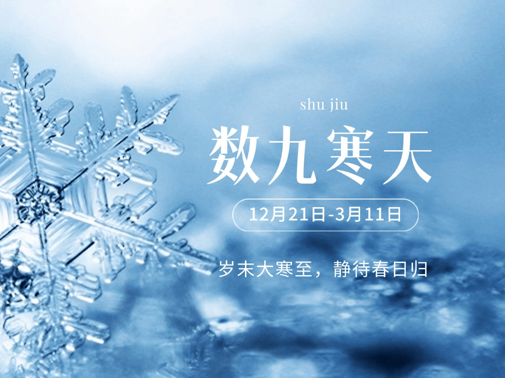 数九寒天是什么生肖、激励解释落实 数九寒天是什么生肖、激励解释落实