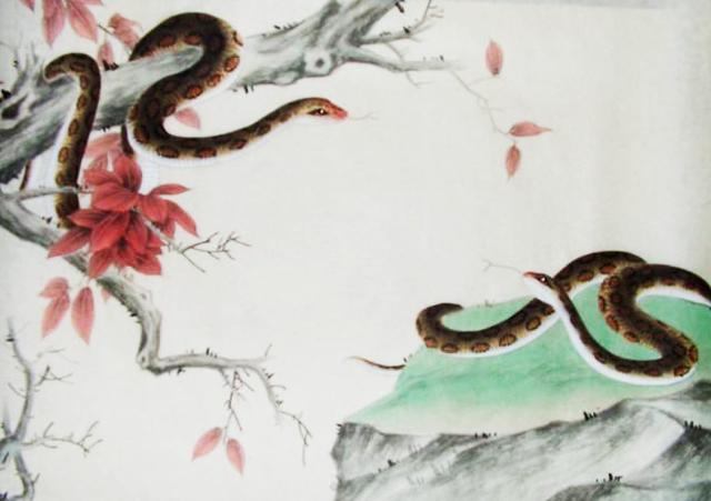 真命天子代表什么生肖、新型作答落实解释 真命天子代表什么生肖、新型作答落实解释