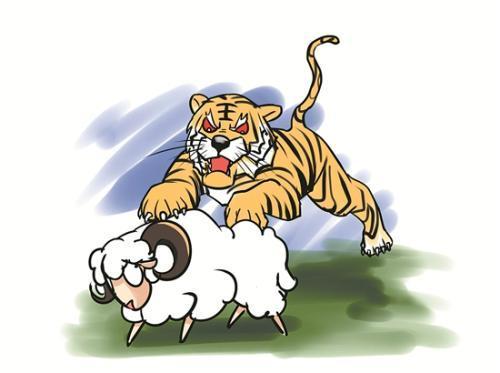 虎入羊群,揭示生肖之谜与智慧寓意 虎入羊群,揭示生肖之谜与智慧寓意
