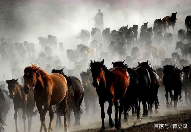 千军万马打一个生肖、对决作答落实解释