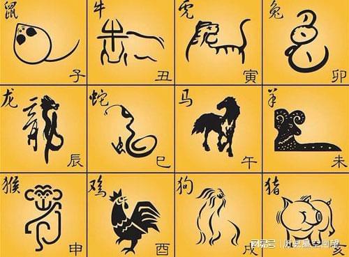 亡羊补牢,生肖中的智慧与行动 亡羊补牢,生肖中的智慧与行动