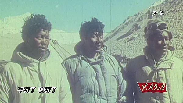 一比高下,揭秘生肖中的攀登者—猴子的不凡成就 一比高下,揭秘生肖中的攀登者—猴子的不凡成就