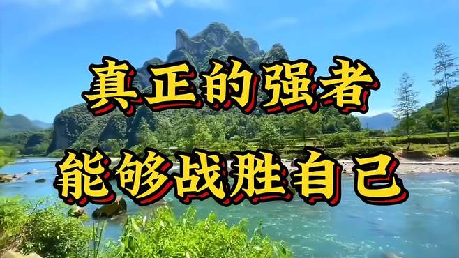 强者反已,揭秘生肖背后的智慧与哲学 强者反已,揭秘生肖背后的智慧与哲学