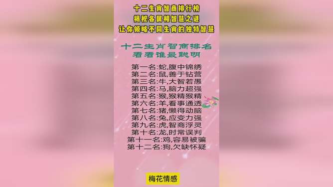 八棱梅花亮银锤，解密生肖之谜