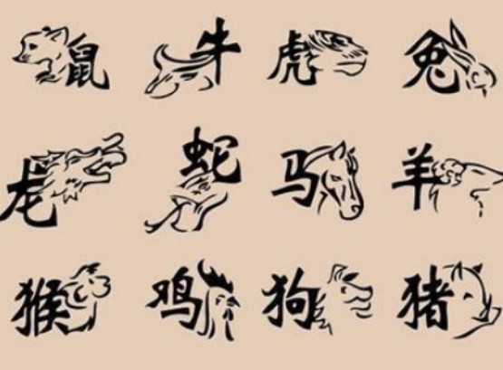 落花流水，生肖之谜的诗意解读