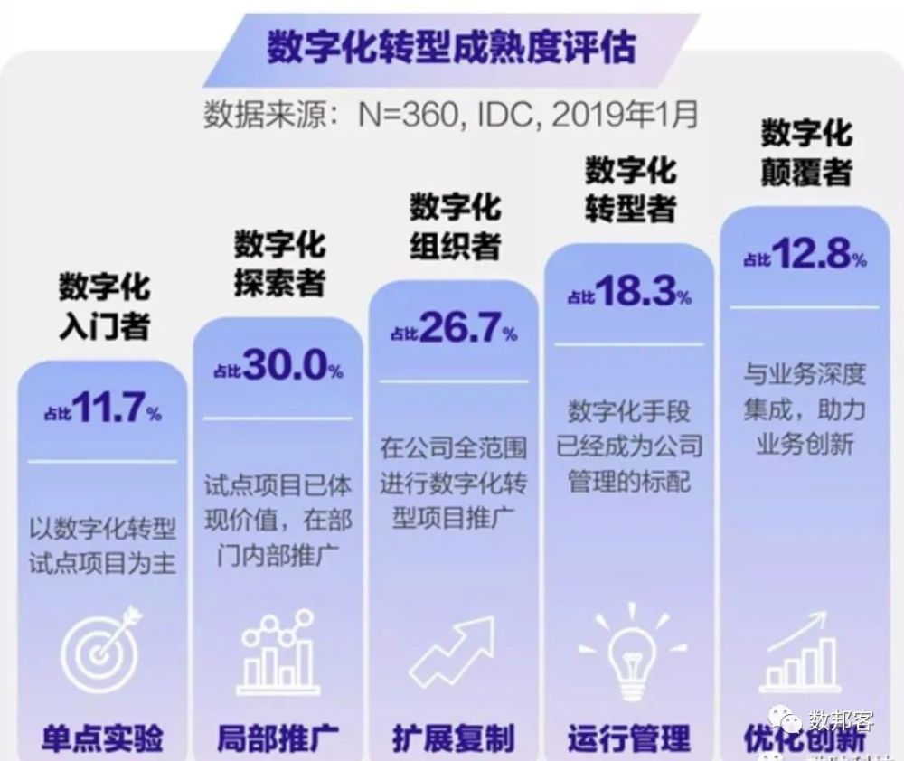 观者如山，数字化时代下的生肖洞察与精准落实
