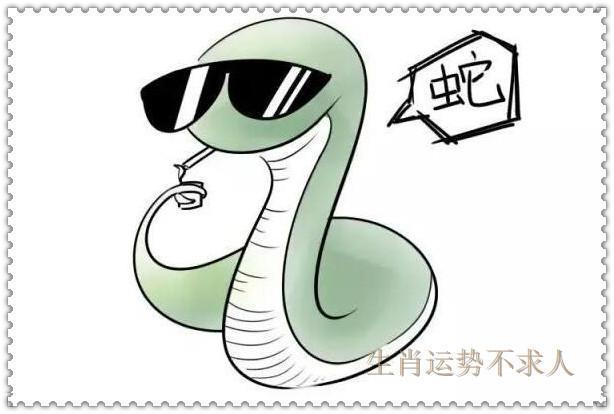 揭秘丢眉丢眼背后的生肖谜题 揭秘丢眉丢眼背后的生肖谜题