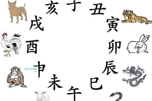 恬不知耻与生肖的神秘联系,揭秘属相背后的故事 恬不知耻与生肖的神秘联系,揭秘属相背后的故事