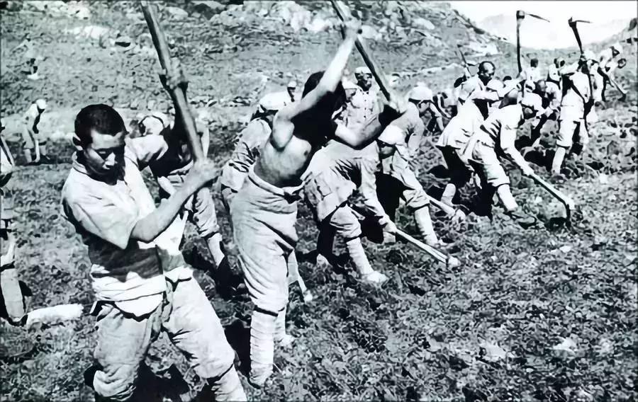 喵星人!打一生肖:答案解释落实 喵星人!打一生肖:答案解释落实