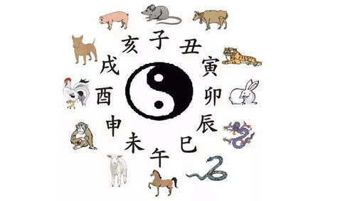 胆小贪心今复来,生肖之谜的深度解析与现实启示 胆小贪心今复来,生肖之谜的深度解析与现实启示